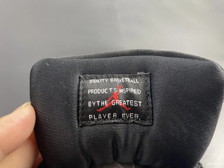 Air AR0715-010 Jordan 11 Animal Instinct 0212